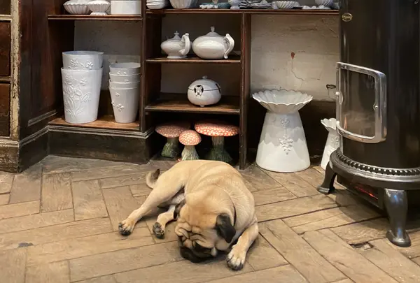 Astier de Villatte