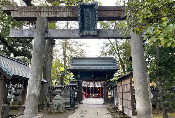 赤坂氷川神社の写真・動画_image_731581