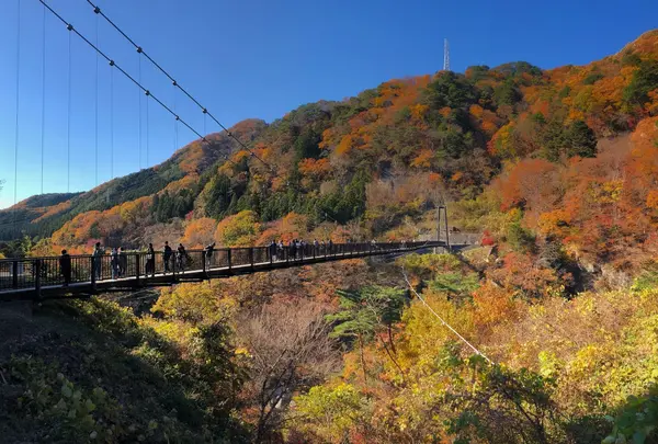 鬼怒楯岩大吊橋