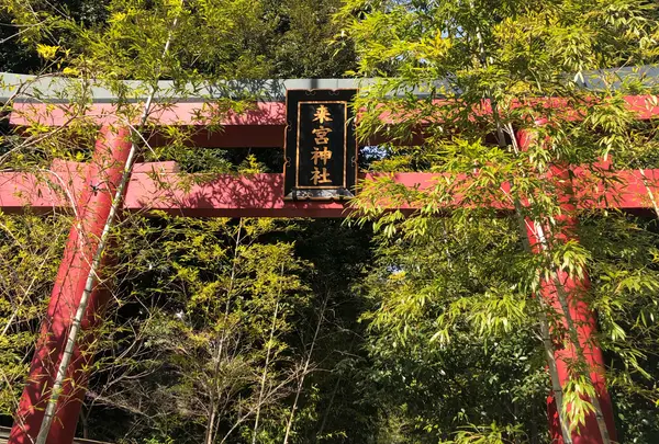 来宮神社 鳥居の写真・動画_image_732605