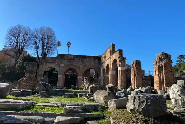 Foro Romano （フォロ・ロマーノ）の写真・動画_image_733344