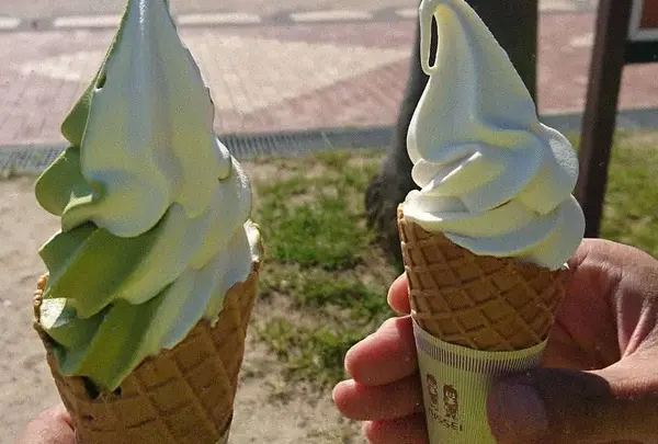 マリンオアシスはかた