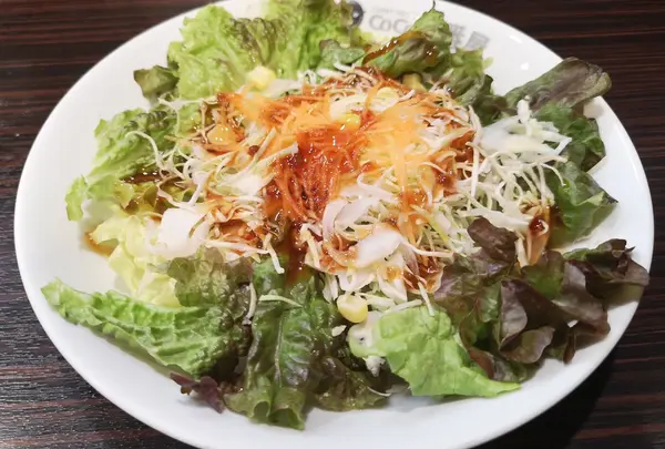 カレーハウスCoCo壱番屋 柳橋店