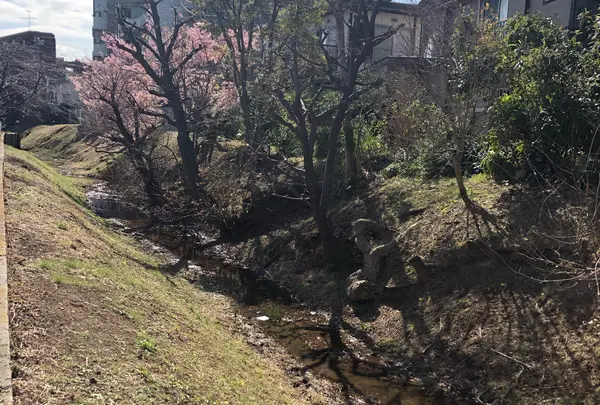 玉川上水旧水路 笹塚〜大山