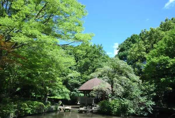 県立東高根森林公園パークセンターの写真・動画_image_736139
