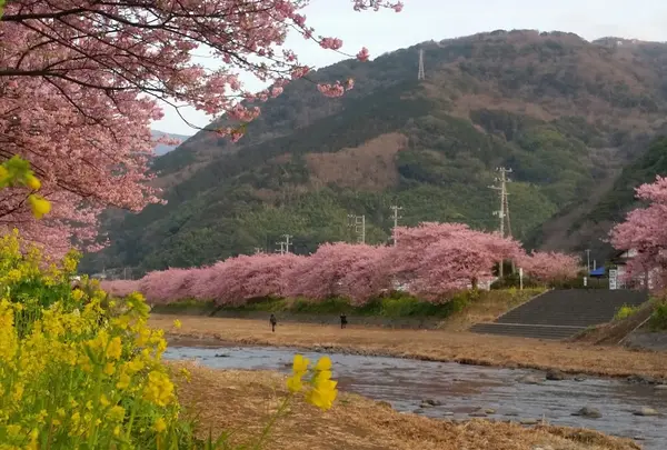 豊泉の足湯処