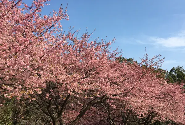 臼井城址