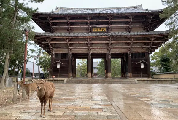 東大寺