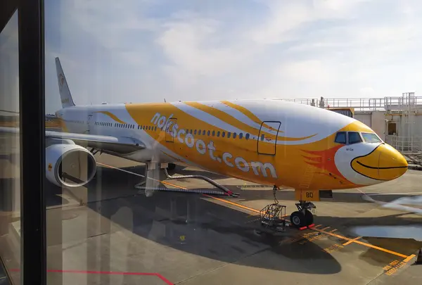 成田空港第２旅客ターミナルの写真・動画_image_739891