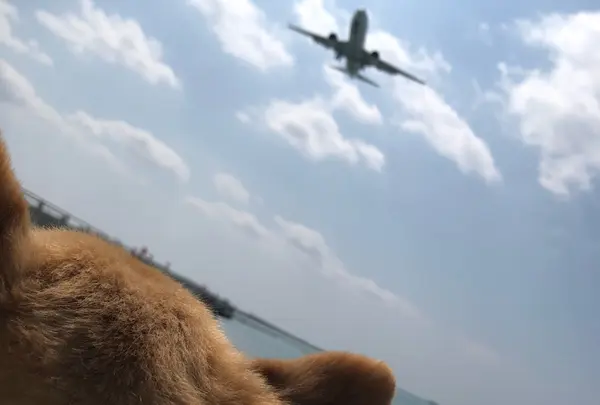 瀬長島 撮影ポイント