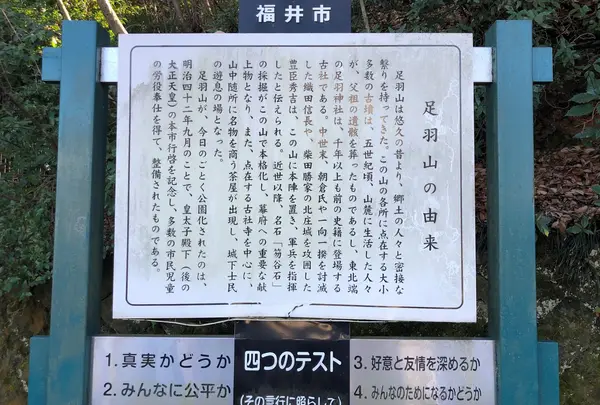 足羽山