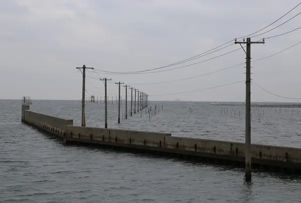 牛込海岸の写真・動画_image_742160