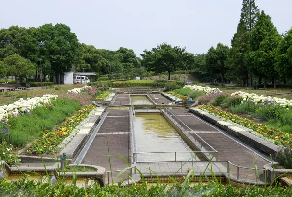 荒子川公園ガーデンプラザのラベンダーの写真・動画_image_742930