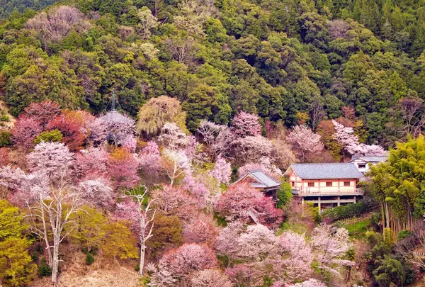 吉野山