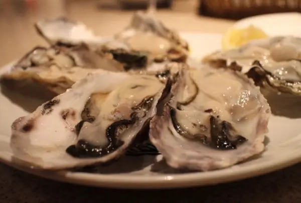 The OysterBar Nagoya