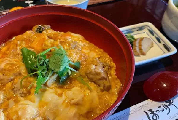 比内地鶏 ほっこりや