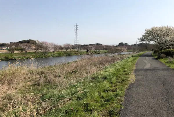 花見川サイクリングロード