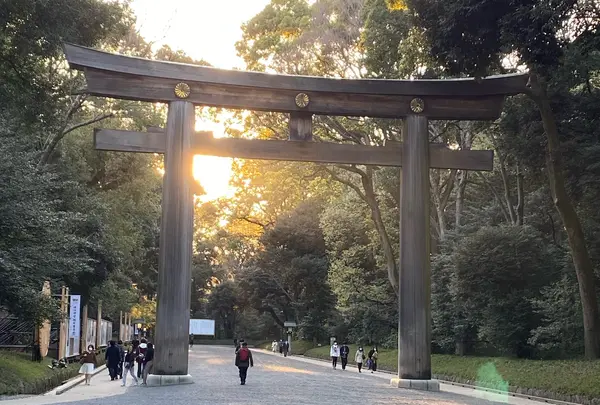 明治神宮の写真・動画_image_748377