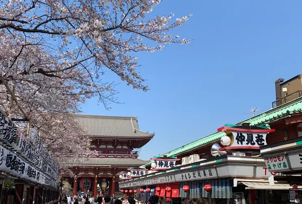 仲見世商店街の写真・動画_image_748809