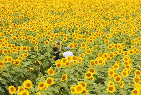 ハーブワールドAKITAの写真・動画_image_749659