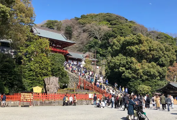 鶴岡八幡宮の写真・動画_image_749733