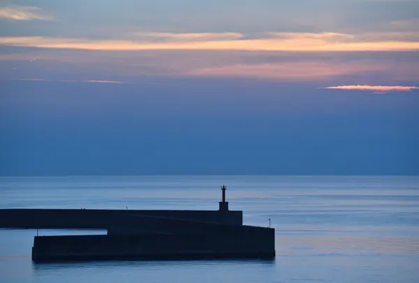 伊予港の写真・動画_image_750809