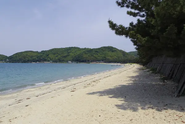 深江海水浴場の写真・動画_image_751393