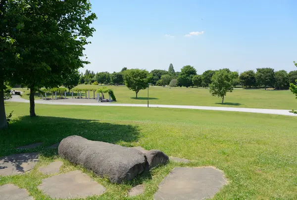 武蔵野の森公園の写真・動画_image_751557