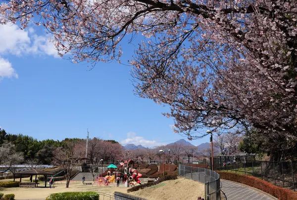 ふれあい公園の写真・動画_image_751994