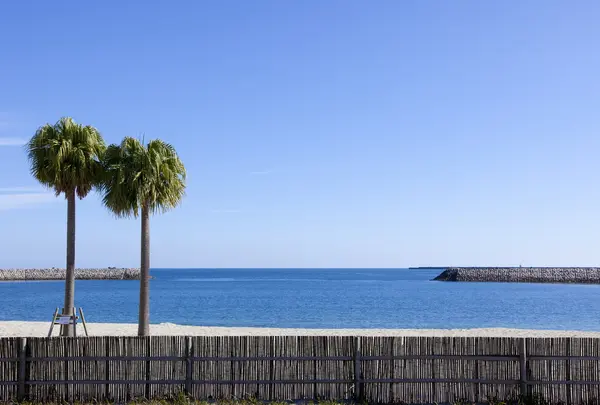 サンビーチ一ツ葉（Sunbeach Hitotsuba）の写真・動画_image_752187