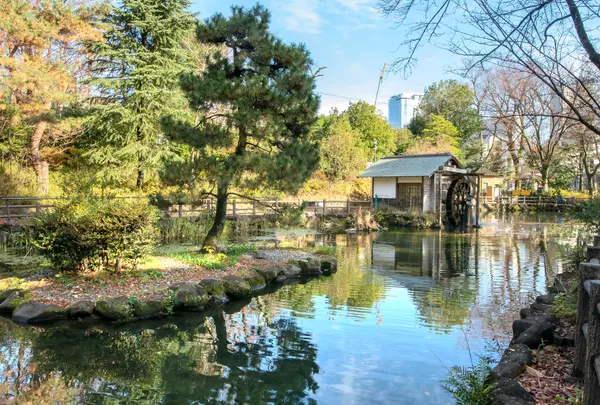 鍋島松濤公園の写真・動画_image_752235