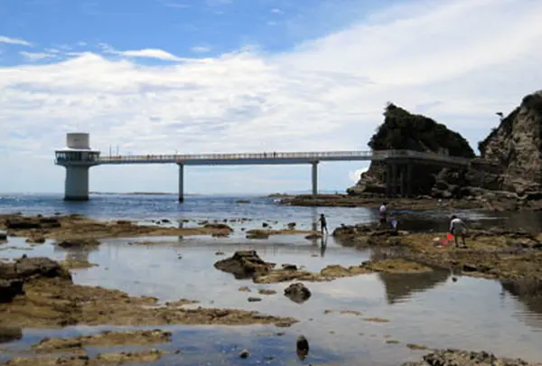 勝浦海中公園センター