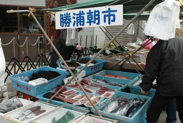 勝浦朝市