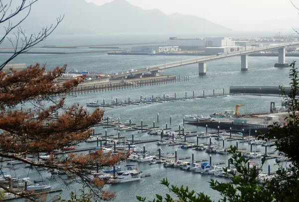 海老山公園の写真・動画_image_753771