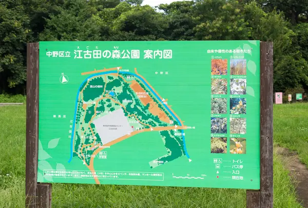 江古田の森公園の写真・動画_image_753797