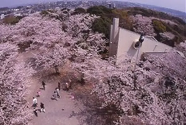 太田山公園