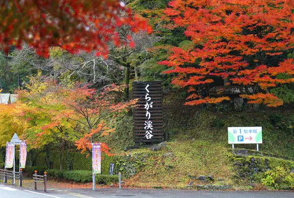 くらがり渓谷の写真・動画_image_755178