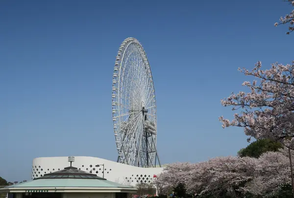 REDHORSE OSAKA WHEEL（レッドホース・オオサカホイール）の写真・動画_image_755201