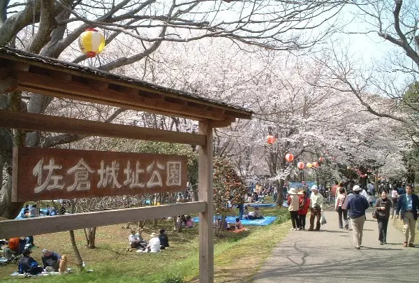 佐倉城址公園