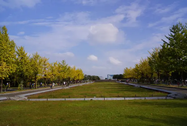 国営昭和記念公園 バーベキューガーデンの写真・動画_image_755717