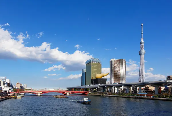  貸切BBQ＆屋上ビアガーデン 浅草ツリーハウスの写真・動画_image_755718