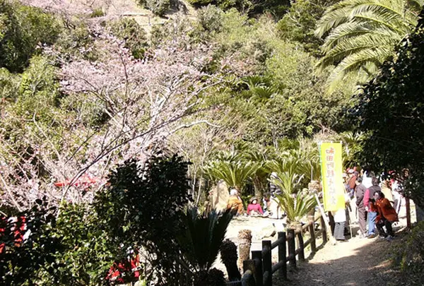 抱湖園