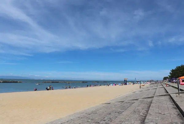 ぴちぴちビーチ（箱作海水浴場）の写真・動画_image_756455