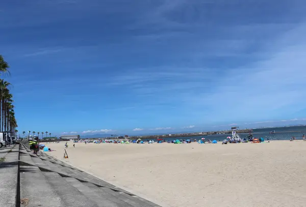 タルイサザンビーチの写真・動画_image_756456