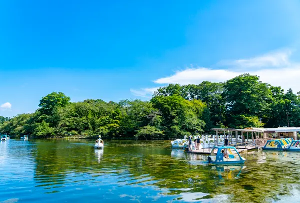 井の頭恩賜公園の写真・動画_image_756589