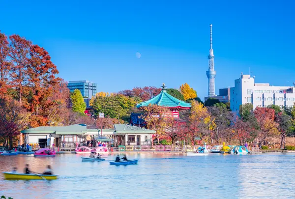 上野恩賜公園（上野公園）の写真・動画_image_756592