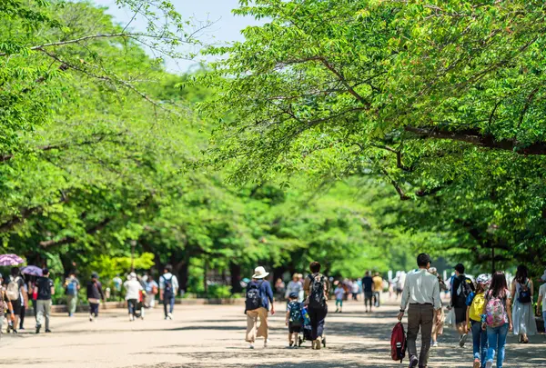 上野恩賜公園（上野公園）の写真・動画_image_756593