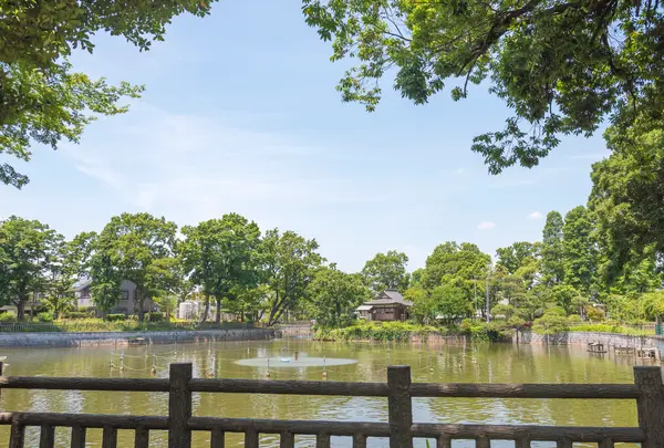 碑文谷公園の写真・動画_image_756594