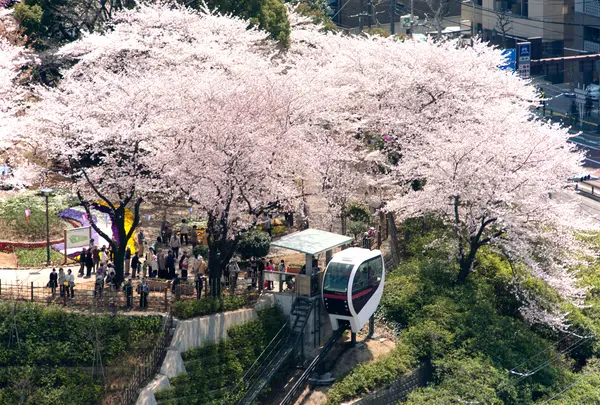 飛鳥山公園の写真・動画_image_756595