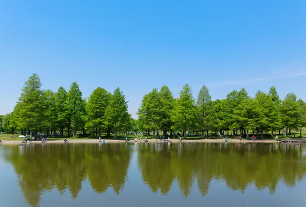 舎人公園の写真・動画_image_756597